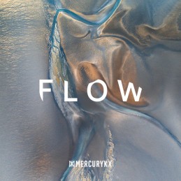 Various: Flow 1LP RSD 2020